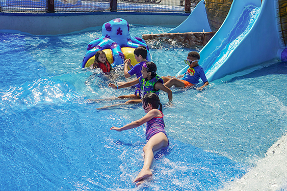 MFC_DSC00018_563x375